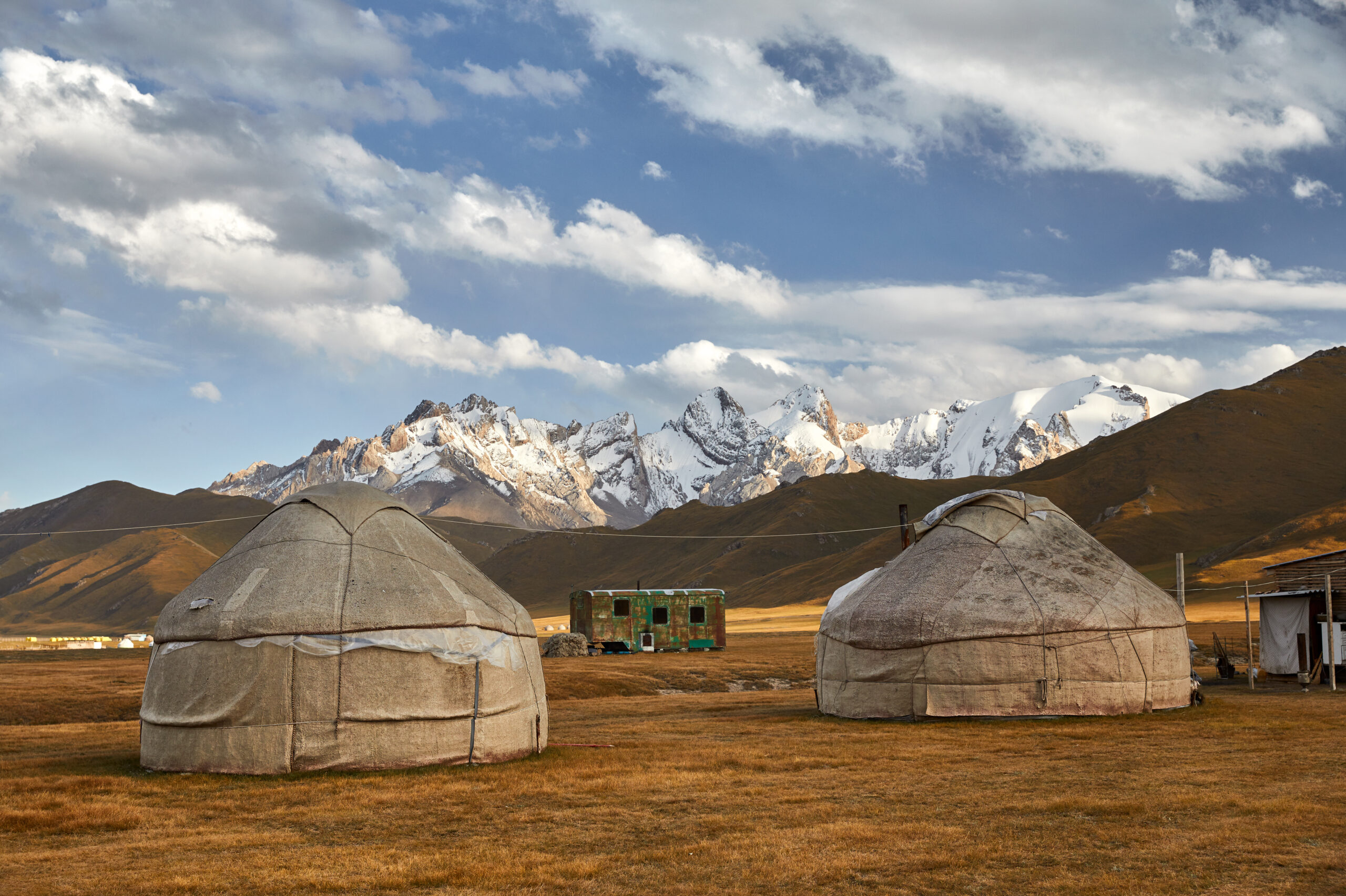 PEACE. to offer medical assistance to Mongolia