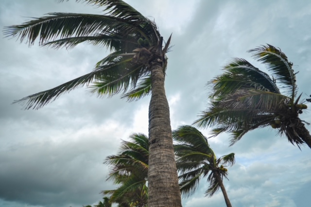 Japanese government greenlights urgent aid for victims of Typhoon Yagi in Vietnam