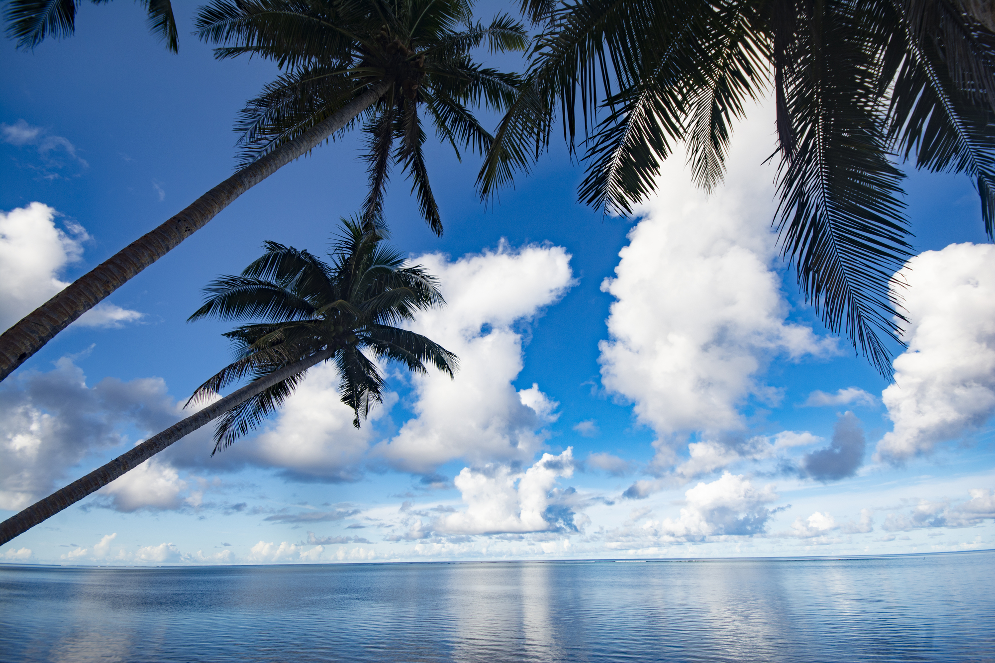 Japan International Cooperation Agency and Ministry of Foreign Affairs begin building ocean thermal energy conversion power plant in Palau