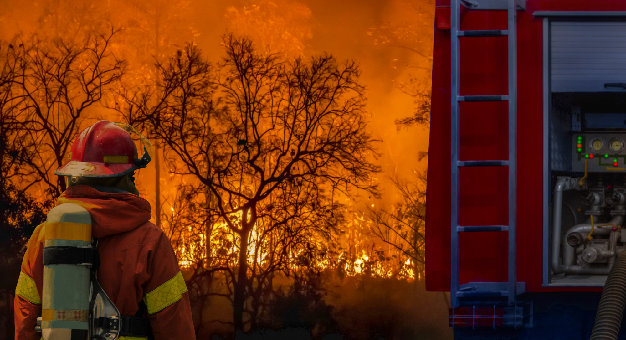 日本による米国カリフォルニア州の山火事被害支援